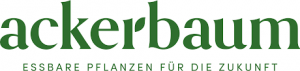 Persönliche Assistenz der Geschäftsführung (m/w/d)