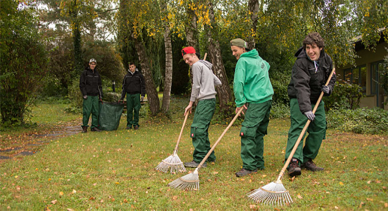 pestalozzi