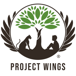 Logo Project Wings